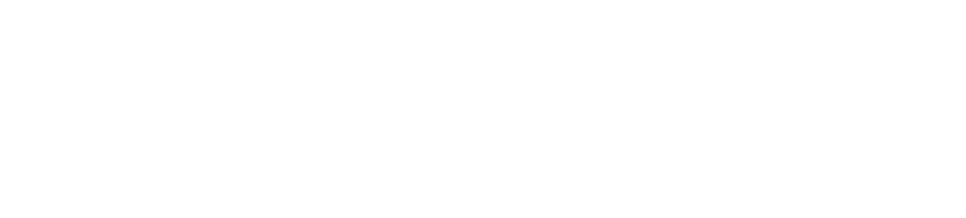 VERTIX